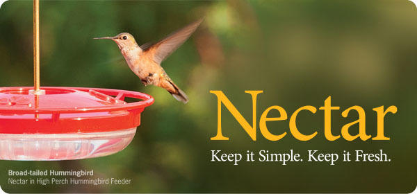 wild birds unlimited hummingbird nectar